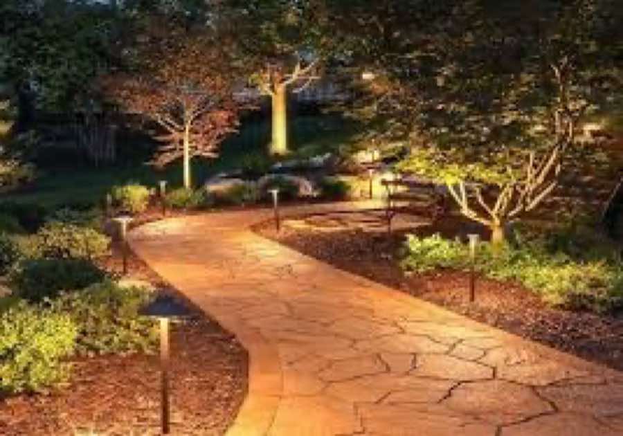 Landscape Illumination near Watauga